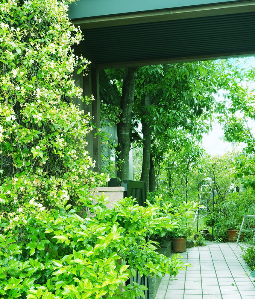 スライド画像1-1