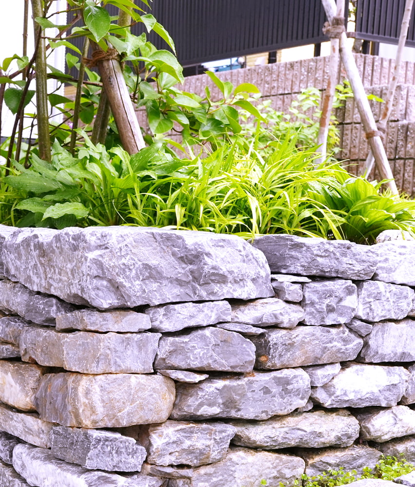 スライド画像1-2