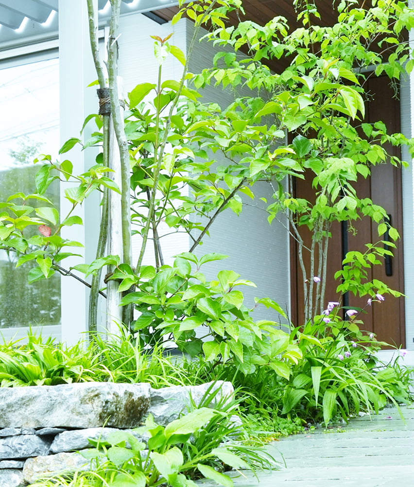 スライド画像2-1