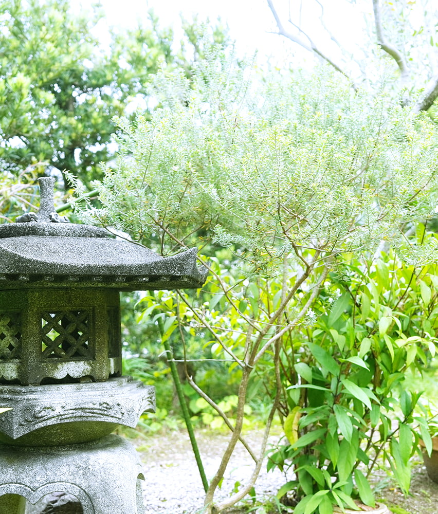 スライド画像2-2