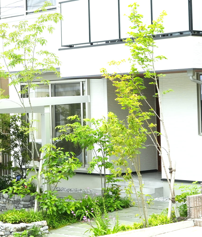 スライド画像2-3