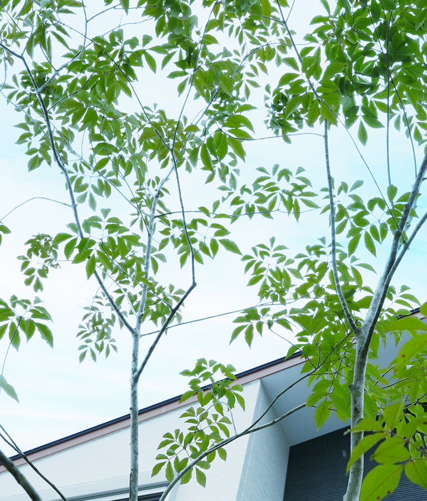 スライド画像3-1