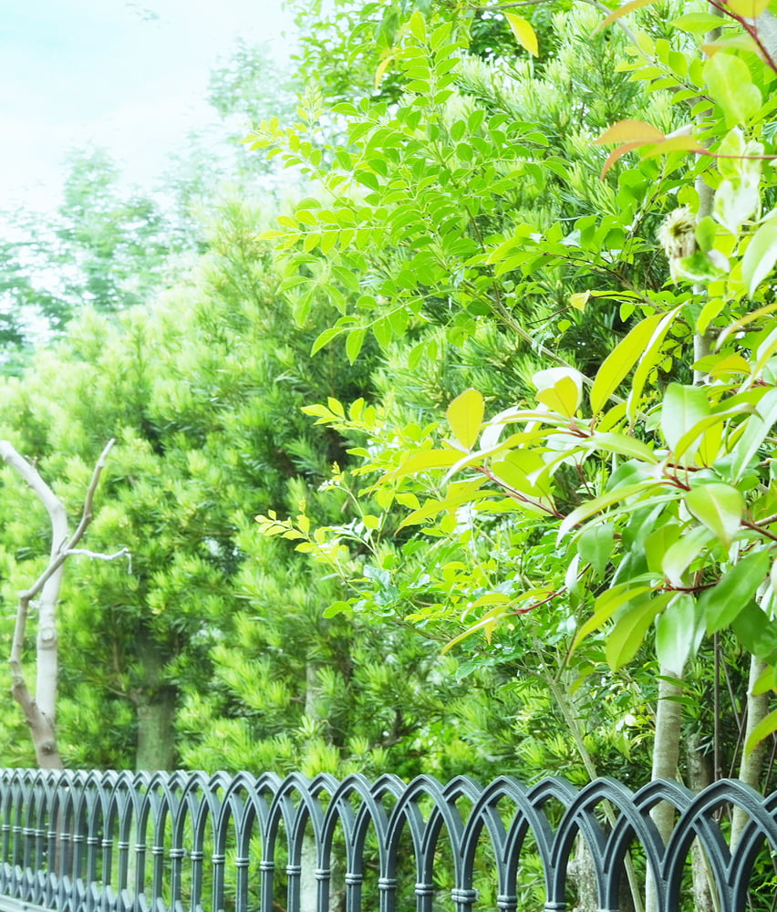 スライド画像3-2