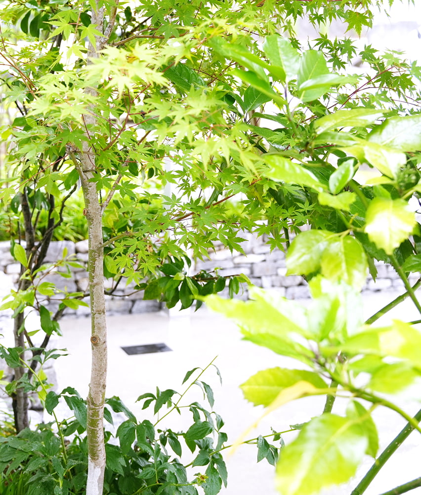 スライド画像3-3