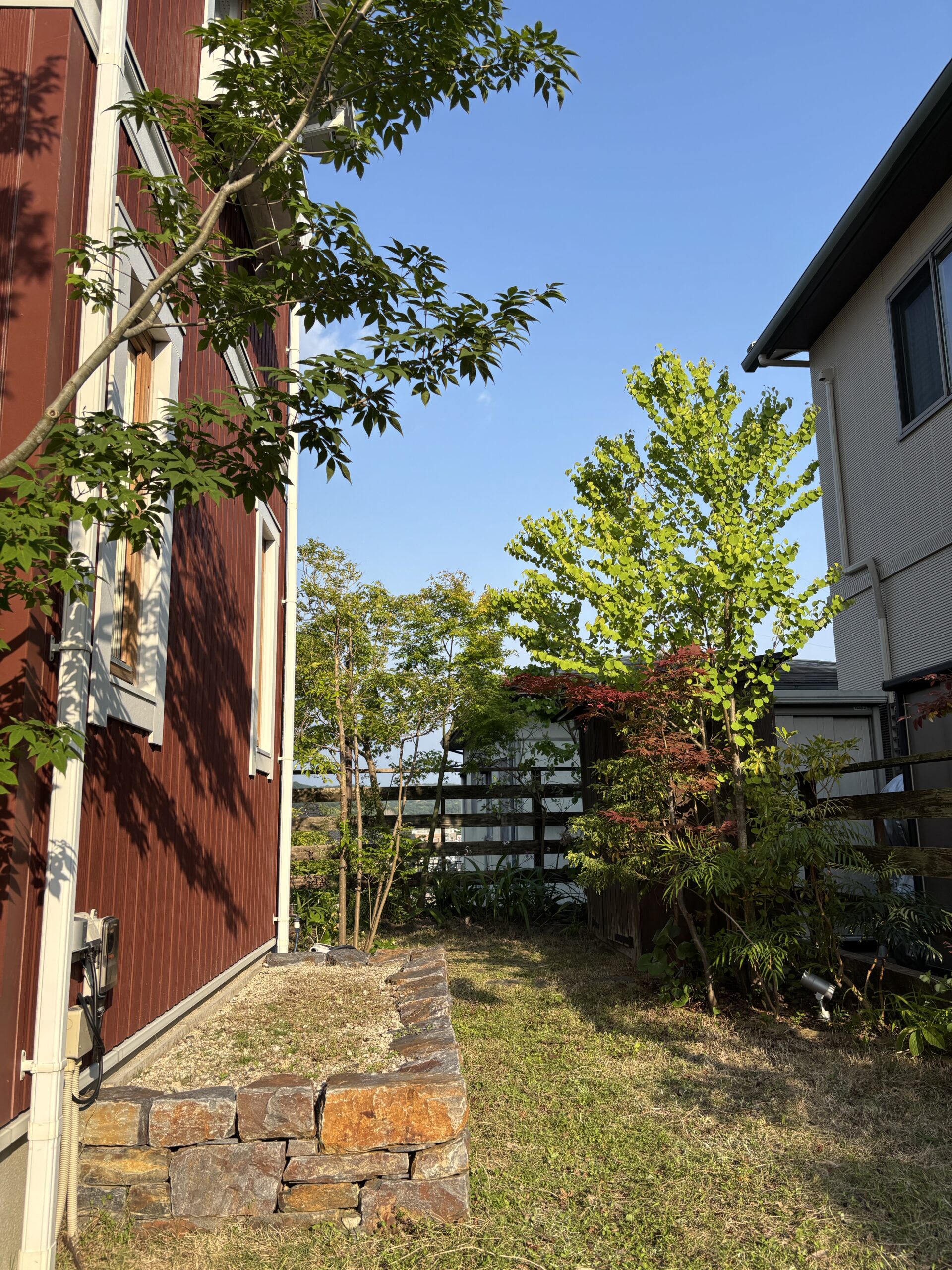 稲熊の家